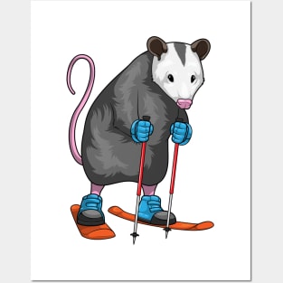 Opossum Skier Ski Winter sports Posters and Art